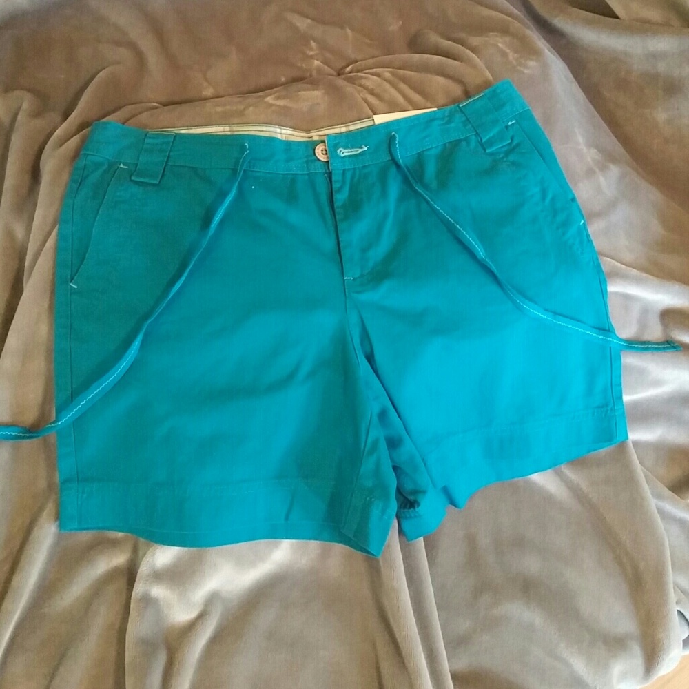 Turquoise shorts size 14